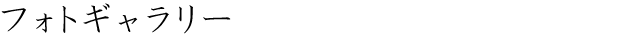 フォトギャラリー