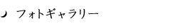 フォトギャラリー